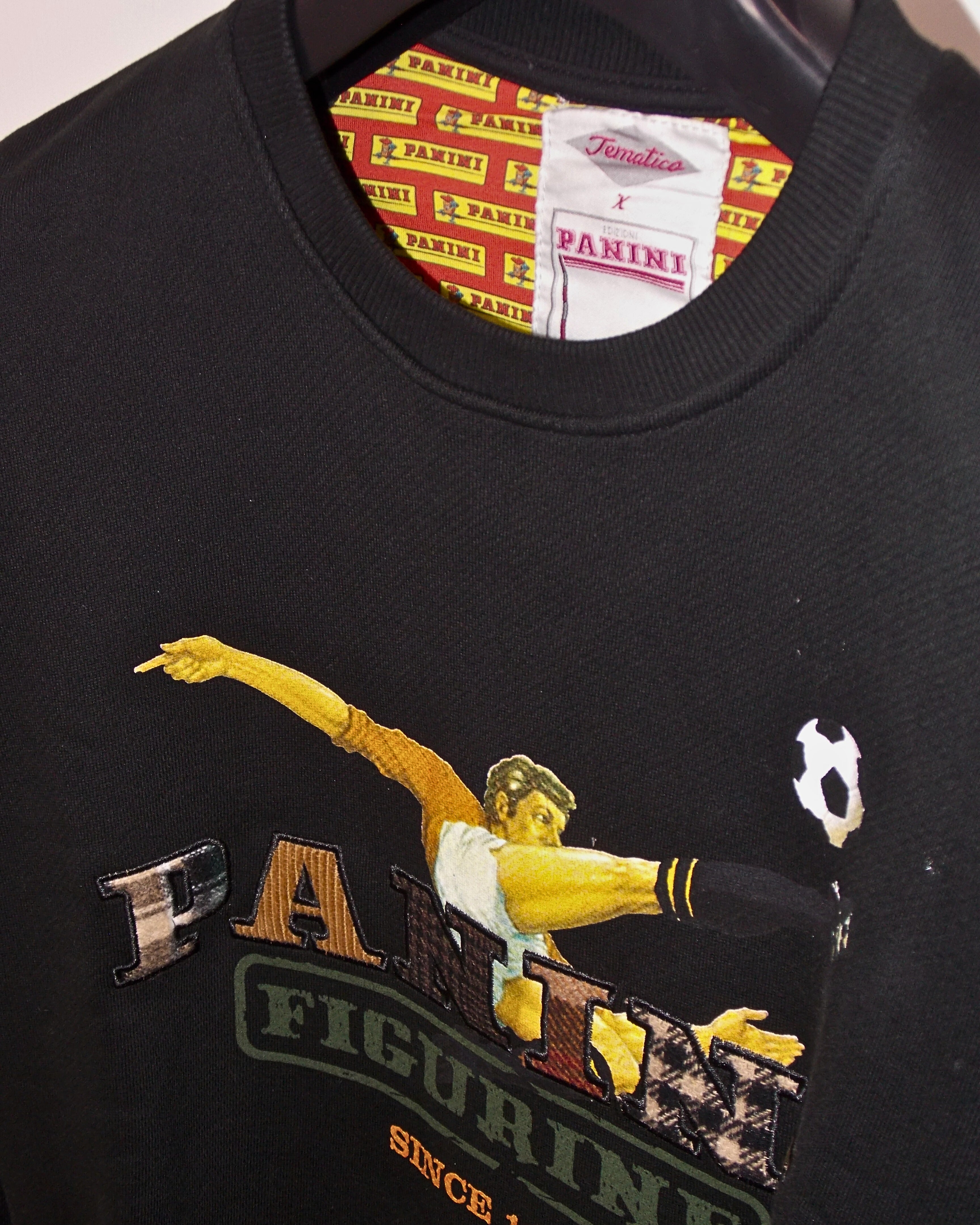 TEMATICA PANINI PAN14